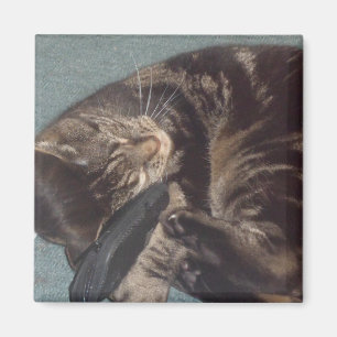 Joueur Dave 5.1 Cm Carré Magnet