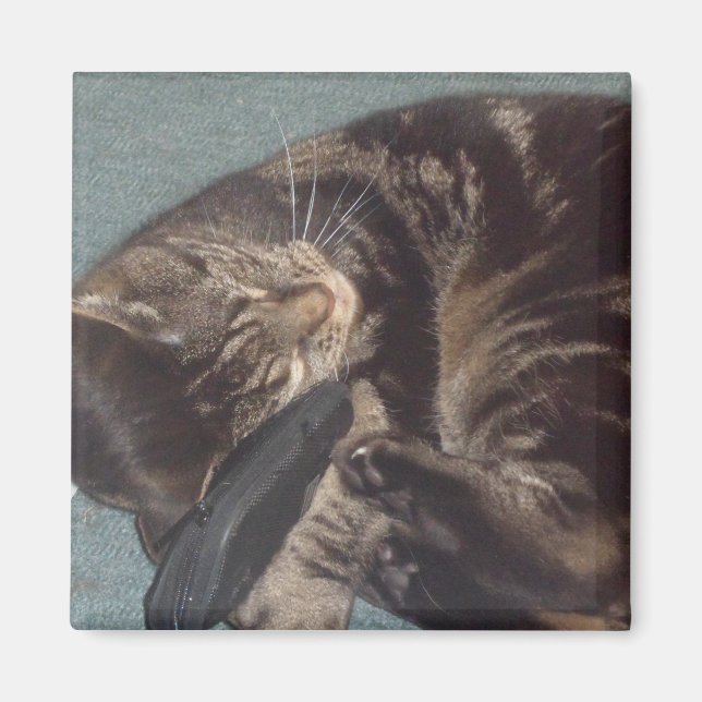 Joueur Dave 5.1 Cm Carré Magnet (Devant)