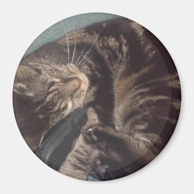 Joueur Dave Large, Aimant Arrondi De 7,6 Cm (Devant)