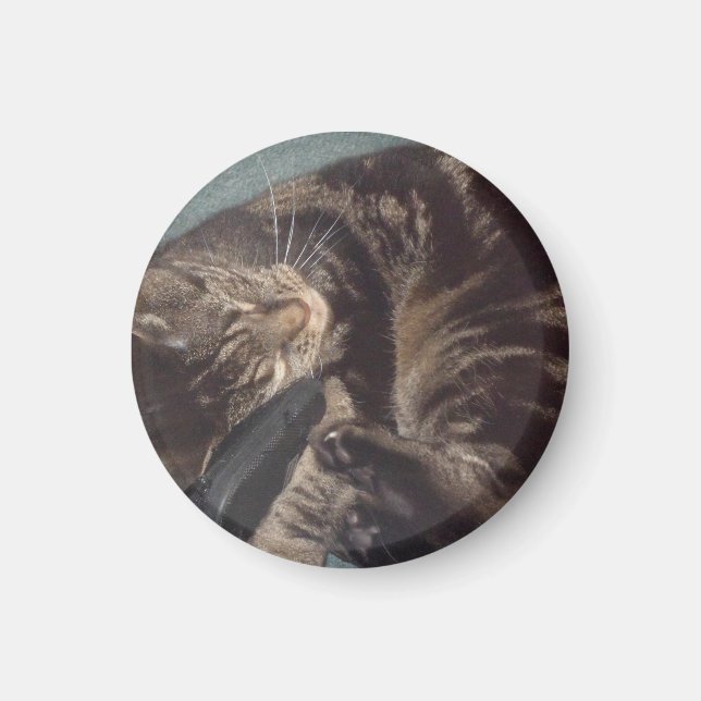 Joueur Dave Small, Magnet Arrondi De 3,2 Cm (Devant)