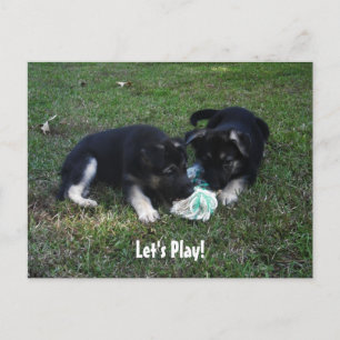 Jouons ! Carte postale de chiot berger allemand