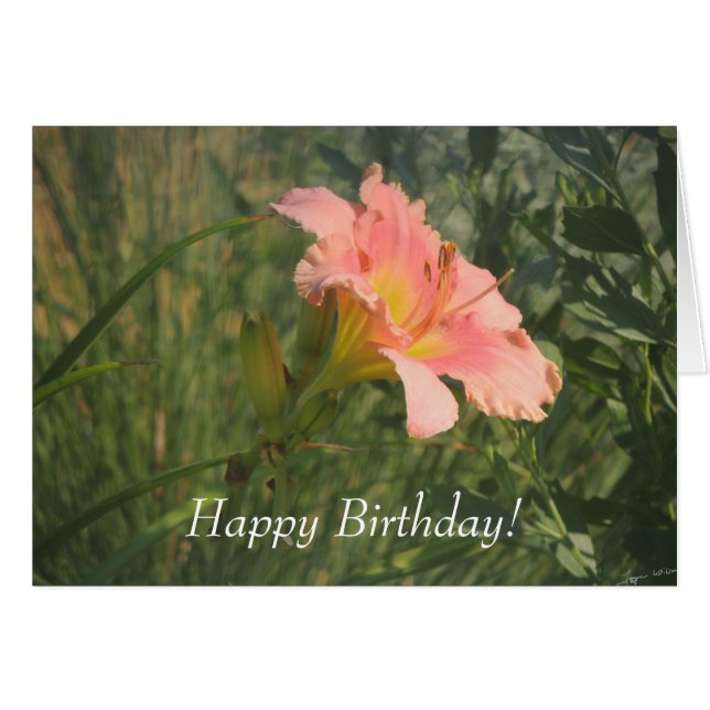 Jour dans le soleil (Devant horizontal)