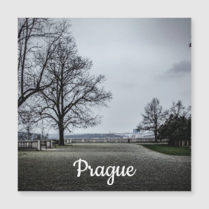 Jour d'automne gris à Prague Magnet