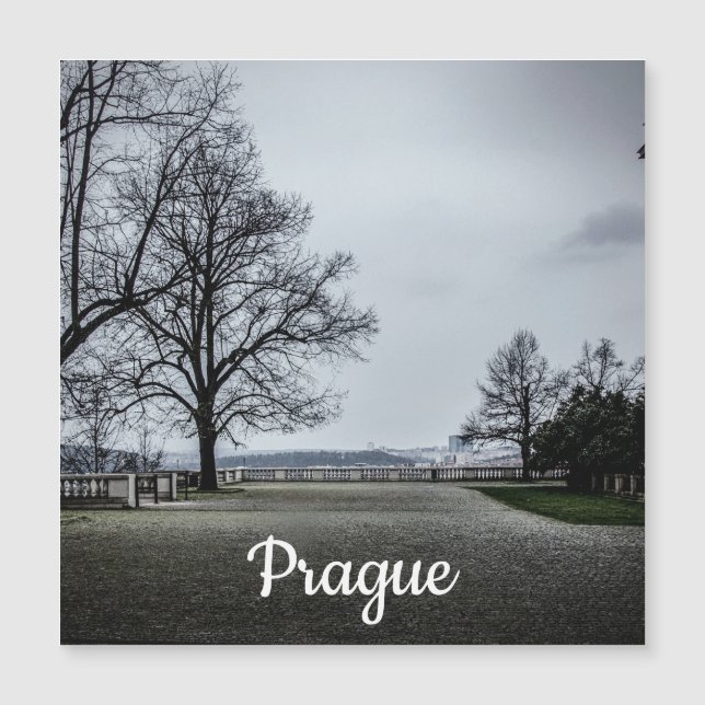Jour d'automne gris à Prague Magnet (Devant)