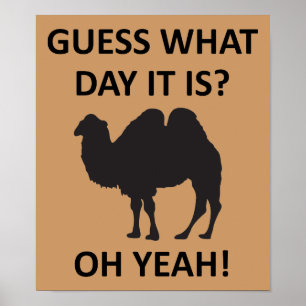 Jour de la Humpe Camel Funny Mercredi affiche