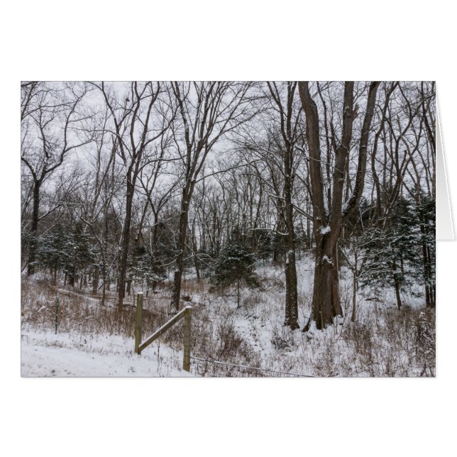 Jour de la neige du bois (Devant Horizontal)
