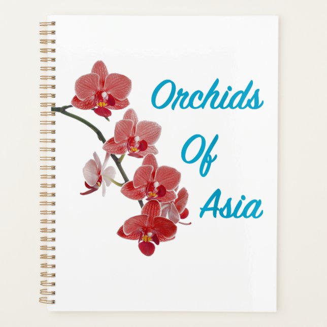 Jour de Spa Orchidées d'Asie (Devant)