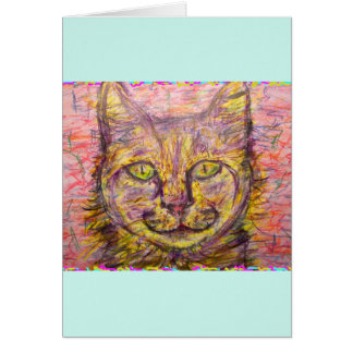 jour ensoleillé chat jour heureux