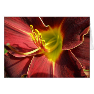Jour Lily - orange foncé