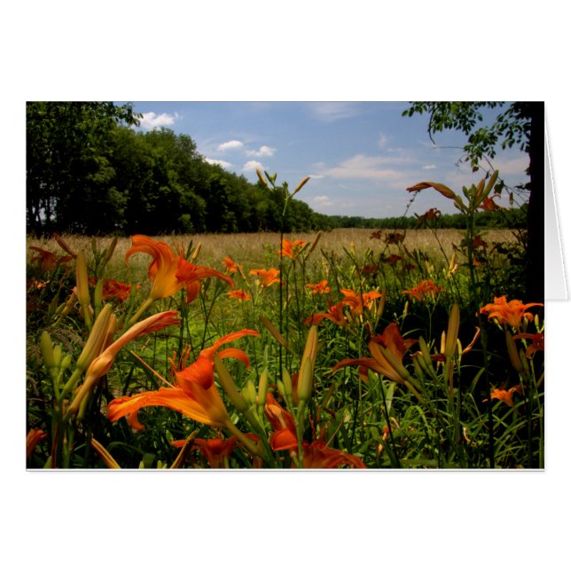 Jour-Lit Le Long D'Un Terrain De Grasses (Devant horizontal)