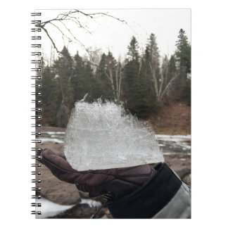 Journal