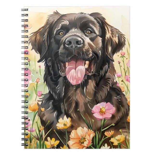 Journal aquarelle de Terre-Neuve (Devant)