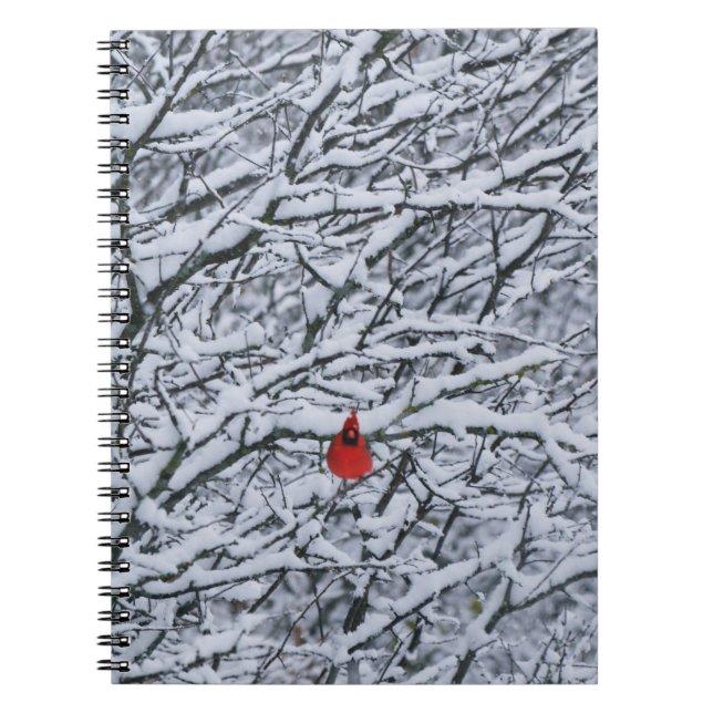 Journal Cardinal Rouge Oiseau dans l'Arbre enneigé (Devant)