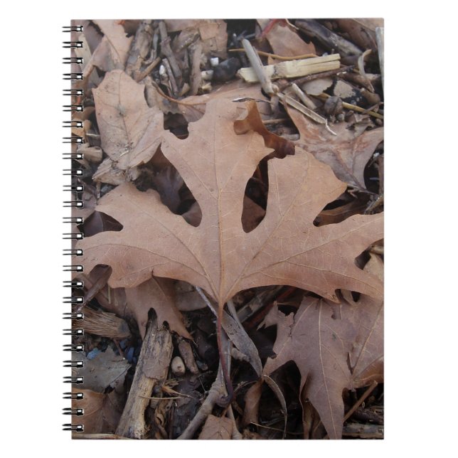 Journal d'automne (Devant)