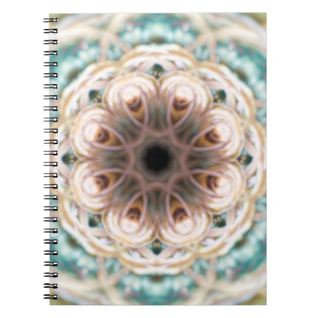 Journal de blanc de mandala de Shell de turquoise (Devant)