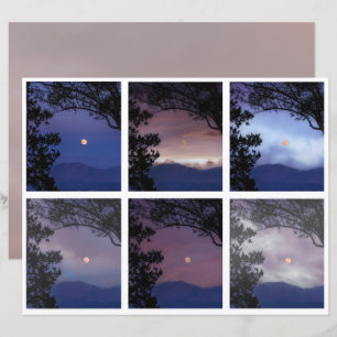 Journal de bord Fées Cieux Arbres de Lune Fantasti