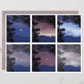 Journal de bord Fées Cieux Arbres de Lune Fantasti