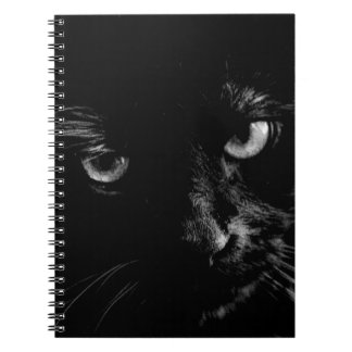 Journal de chat noir