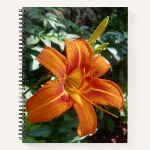Journal de fleurs aux feuilles vertes et lis orang