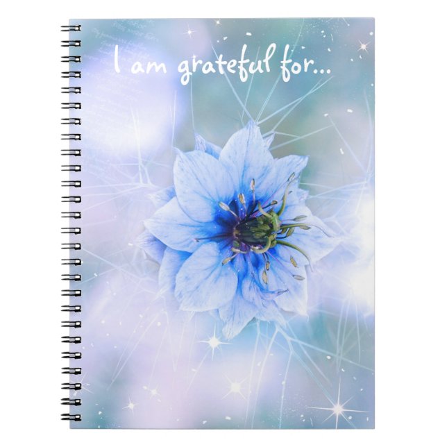 Journal de Gratitude de Fleur Bleu Étincelant (Devant)