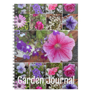 Journal de jardin pétunia rose Fleurs printanières
