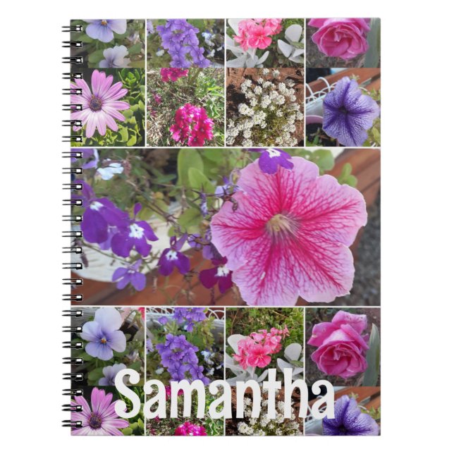 Journal de jardin pétunia rose fleurs printanières (Devant)
