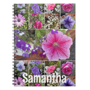 Journal de jardin pétunia rose jolie fleurs de pri