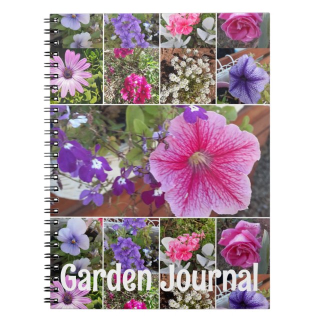 Journal de jardin pétunia rose - jolies fleurs pri (Devant)