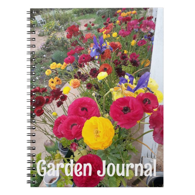 Journal de jardin Ranunculus Fleurs rouges de prin (Devant)