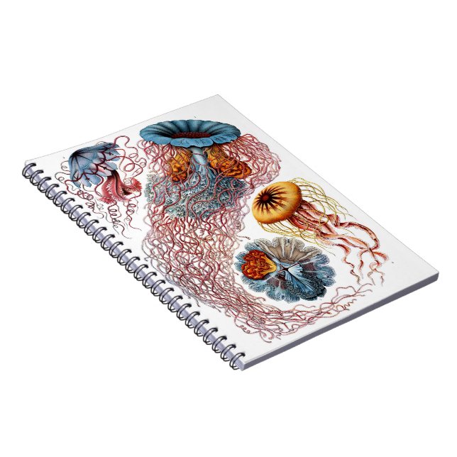 Journal de méduses (Côté Droit)