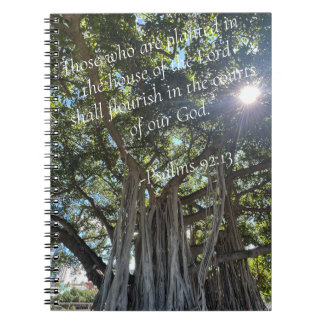 Journal de plantation