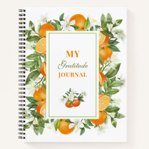 Journal de ratitude des oranges