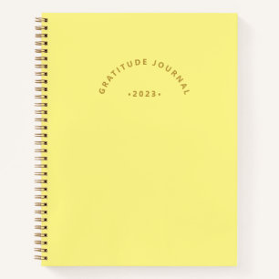 Journal de reconnaissance minimaliste de l'année j