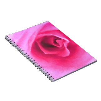 Journal de rose de rose