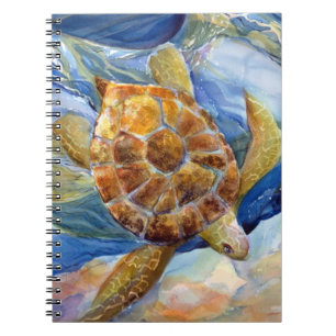 Journal de tortue de mer