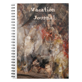 Journal de vacances Bois pétrifié avec Quartz