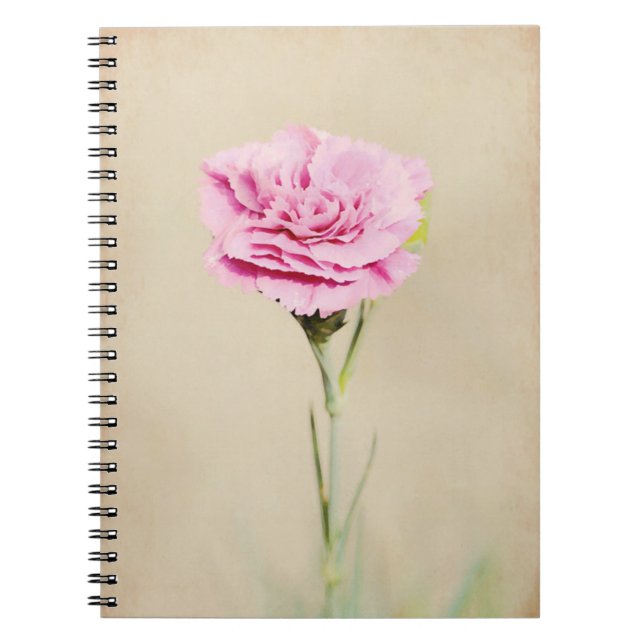Journal des fleurs de carnation rose (Devant)