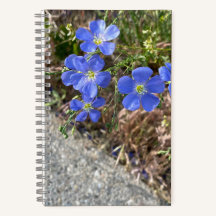 Journal des fleurs de violet bleu
