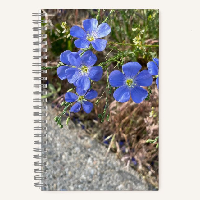 Journal des fleurs de violet bleu (Recto)