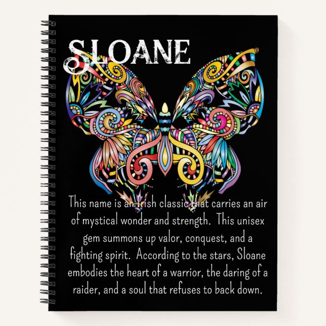 Journal des papillons vapeur colorés (Devant)