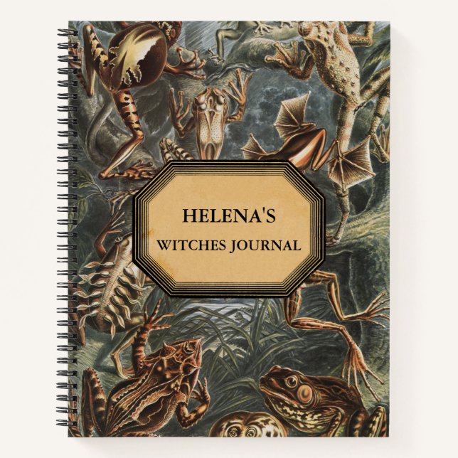 Journal des sorcières à double problème (Devant)