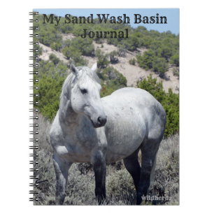 Journal du bassin de lavage des sables