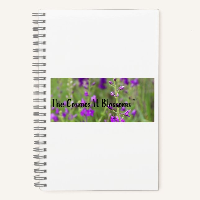 Journal du Cosmos (Recto)