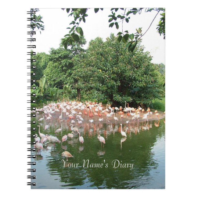 journal du groupe de flamants (Devant)
