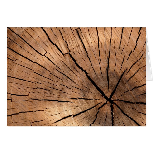 Journal en bois fissuré (Devant horizontal)