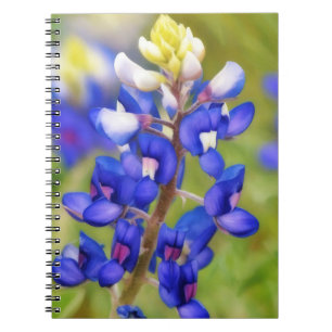Journal floral de la fleur de lupin bleu du Texas