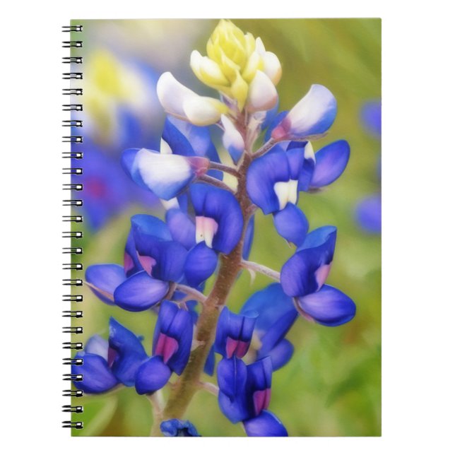 Journal floral de la fleur de lupin bleu du Texas (Devant)