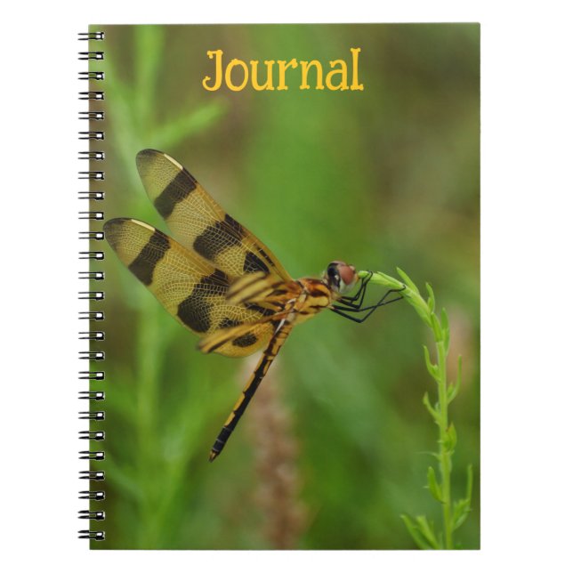 Journal personnel Golden Dragonfly (Devant)