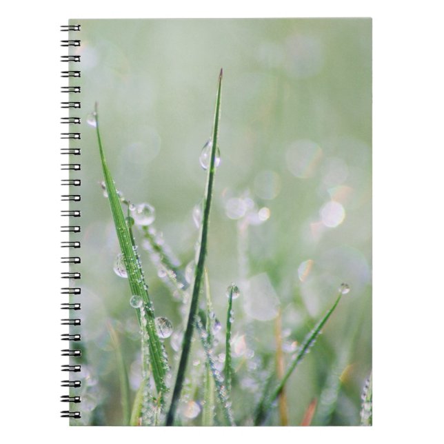 Journal Rosée-Couvert de blanc d'herbe (Devant)