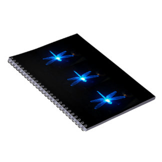Journal rougeoyant bleu de carnet de libellules